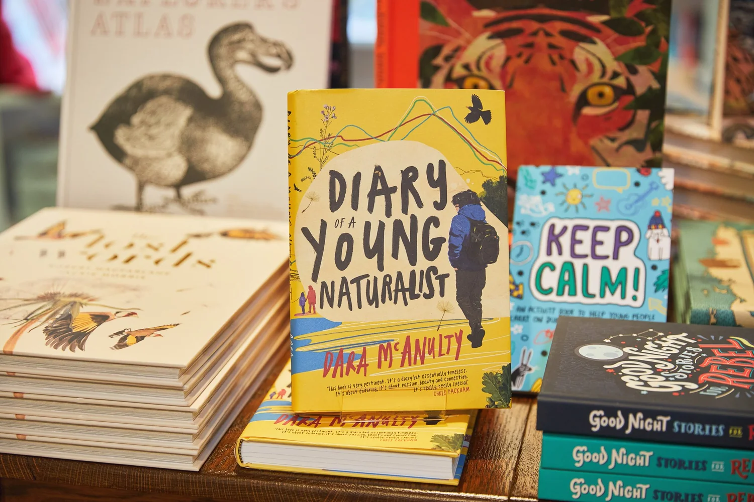 Books — Kemps Recommends